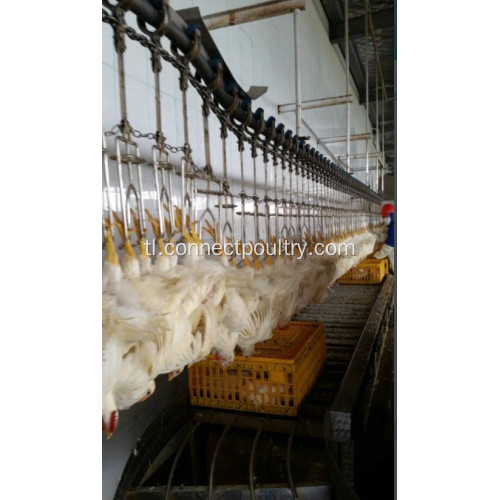 Overhead Conveyor Line ng bird processing line